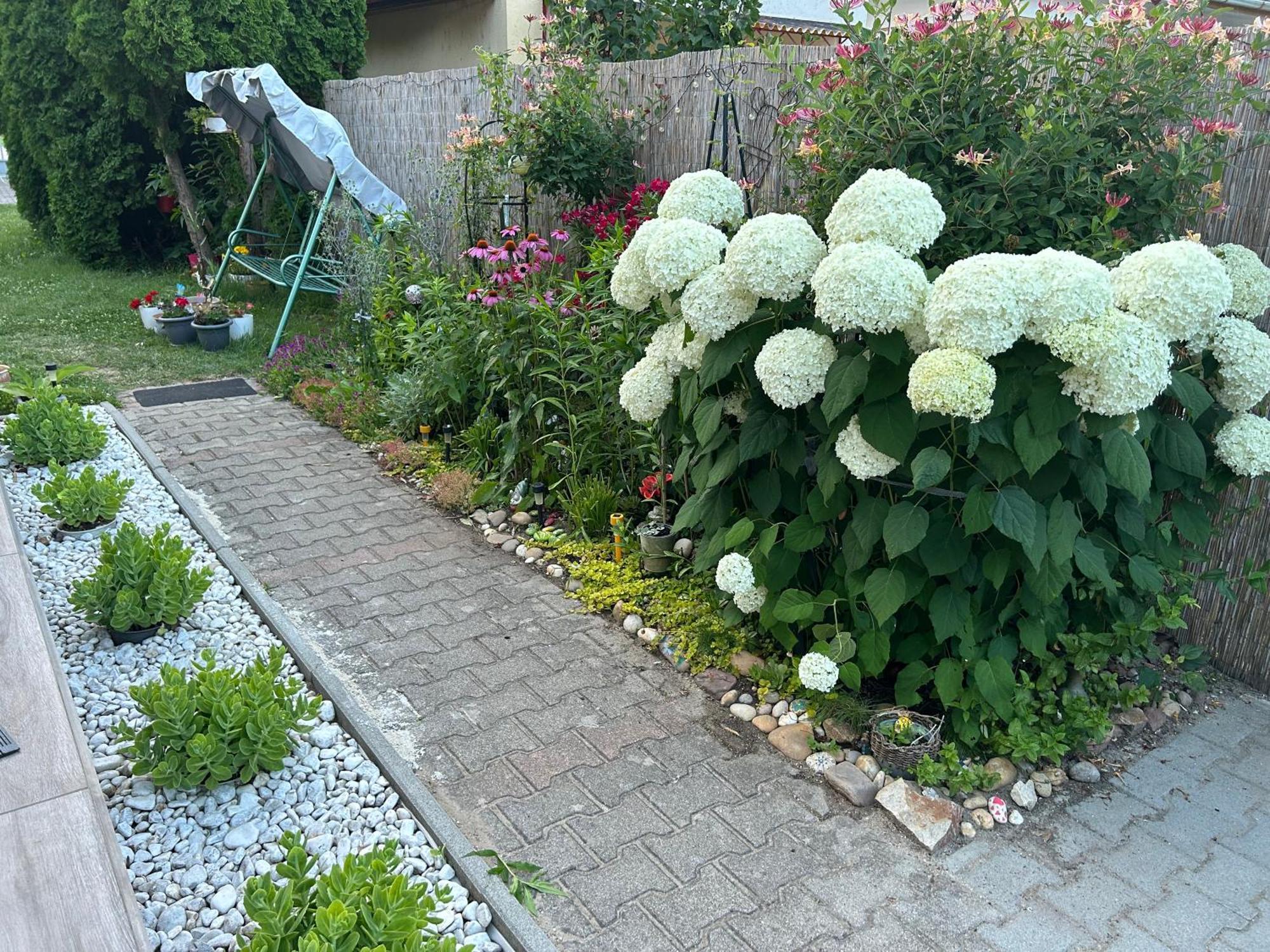 Noemi89 Apartman Siofok Exterior photo
